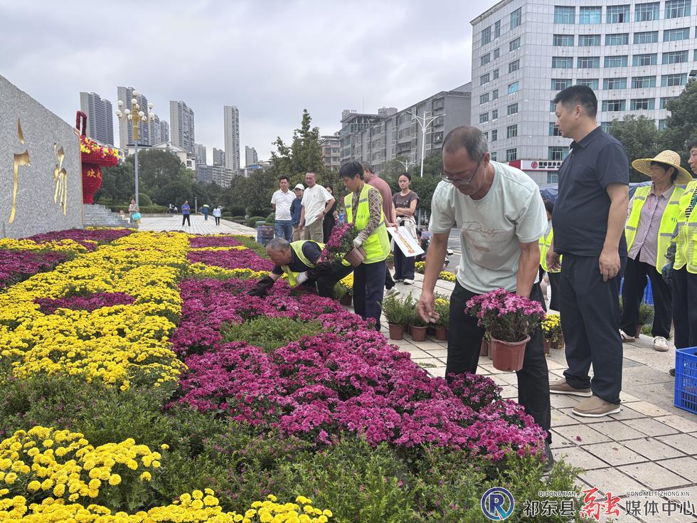 w_微信图片_20260924114313_169_2.jpg w_微信图片_20260924114313_169_2.jpg