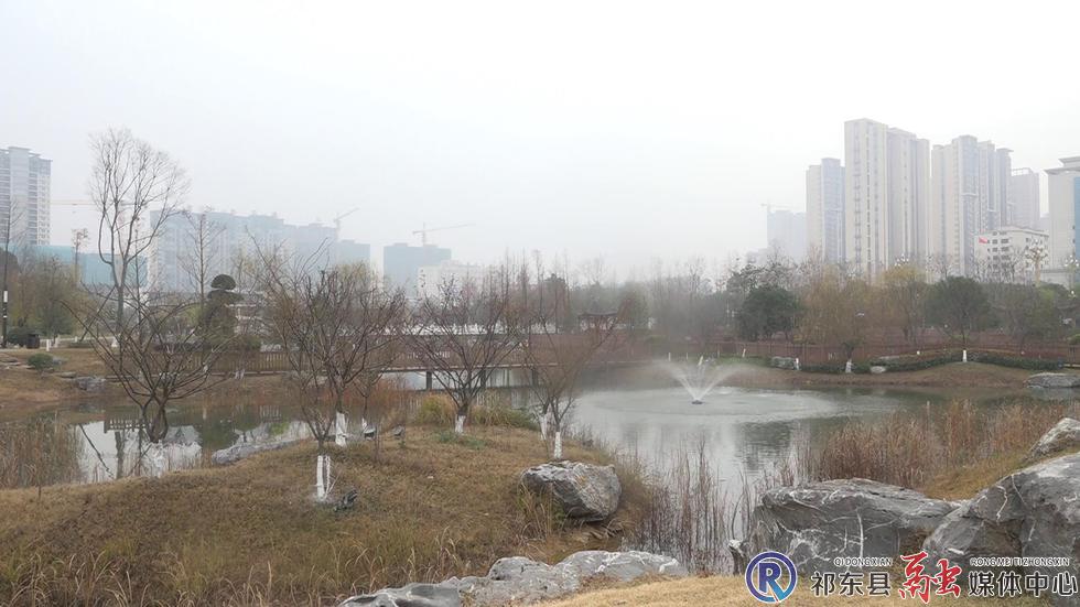 w_01045[00-00-02][20241119-153933376].jpg