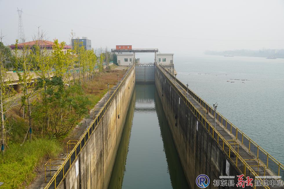 w_DSC08221.JPG