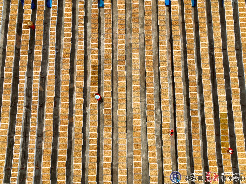 w_DJI_0521.JPG
