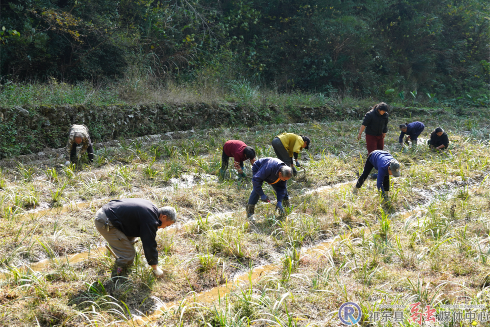 w_DSC01319.jpg.png w_DSC01319.jpg.png