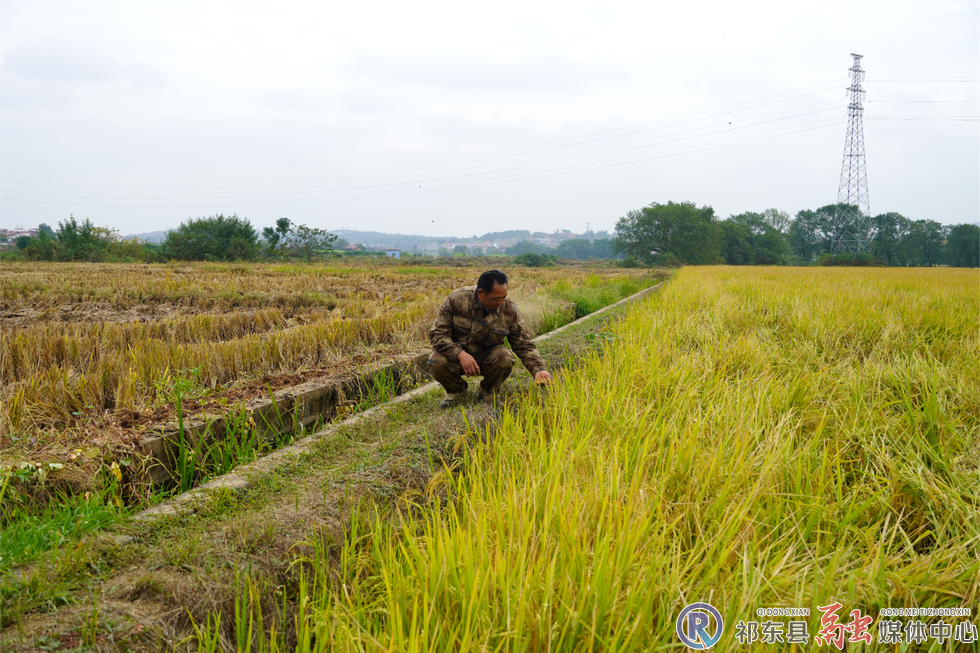 w_DSC01131.jpg.png w_DSC01131.jpg.png