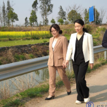 彭双娣赴黄土铺镇督导当前重点工作