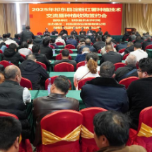 红薯收购有了保护价！  县农业发展公司与147家红薯种植大户签约