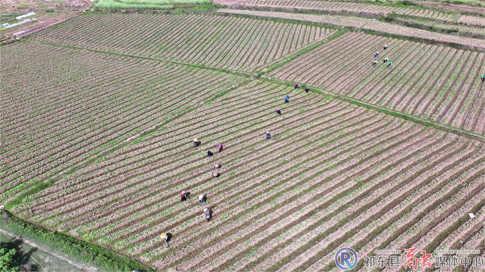 w_DJI_20250415094431_0353_D[00-00-06][20250415-164639966].jpg.png