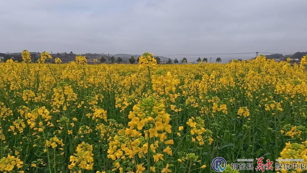 w_微信图片_20260228200033_67_102.jpg w_微信图片_20260228200033_67_102.jpg