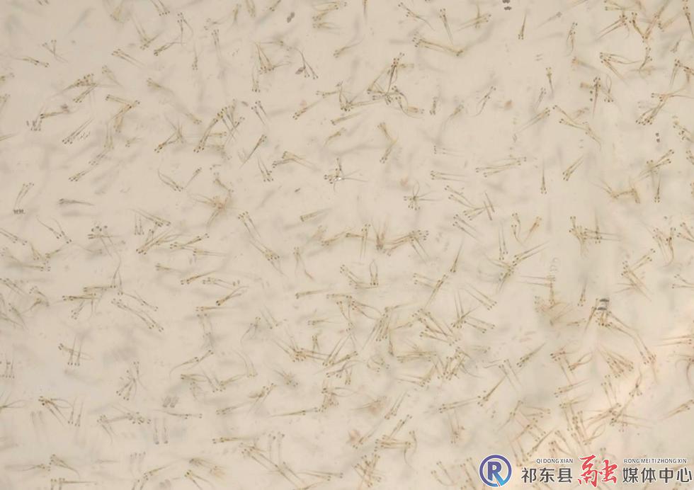 w_01206.MTS_20260409_103034.666.jpg w_01206.MTS_20260409_103034.666.jpg