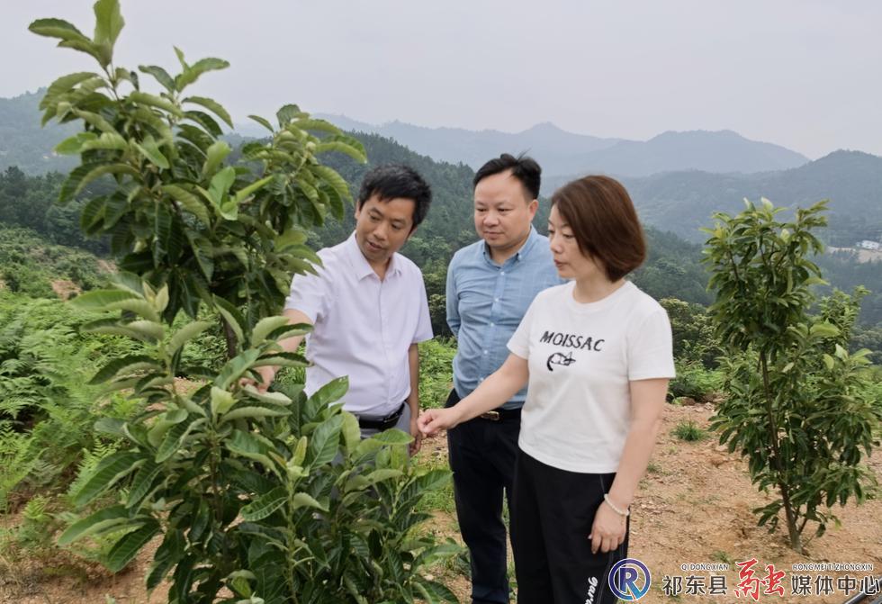 w_微信图片_20260529180207_31_375.jpg w_微信图片_20260529180207_31_375.jpg