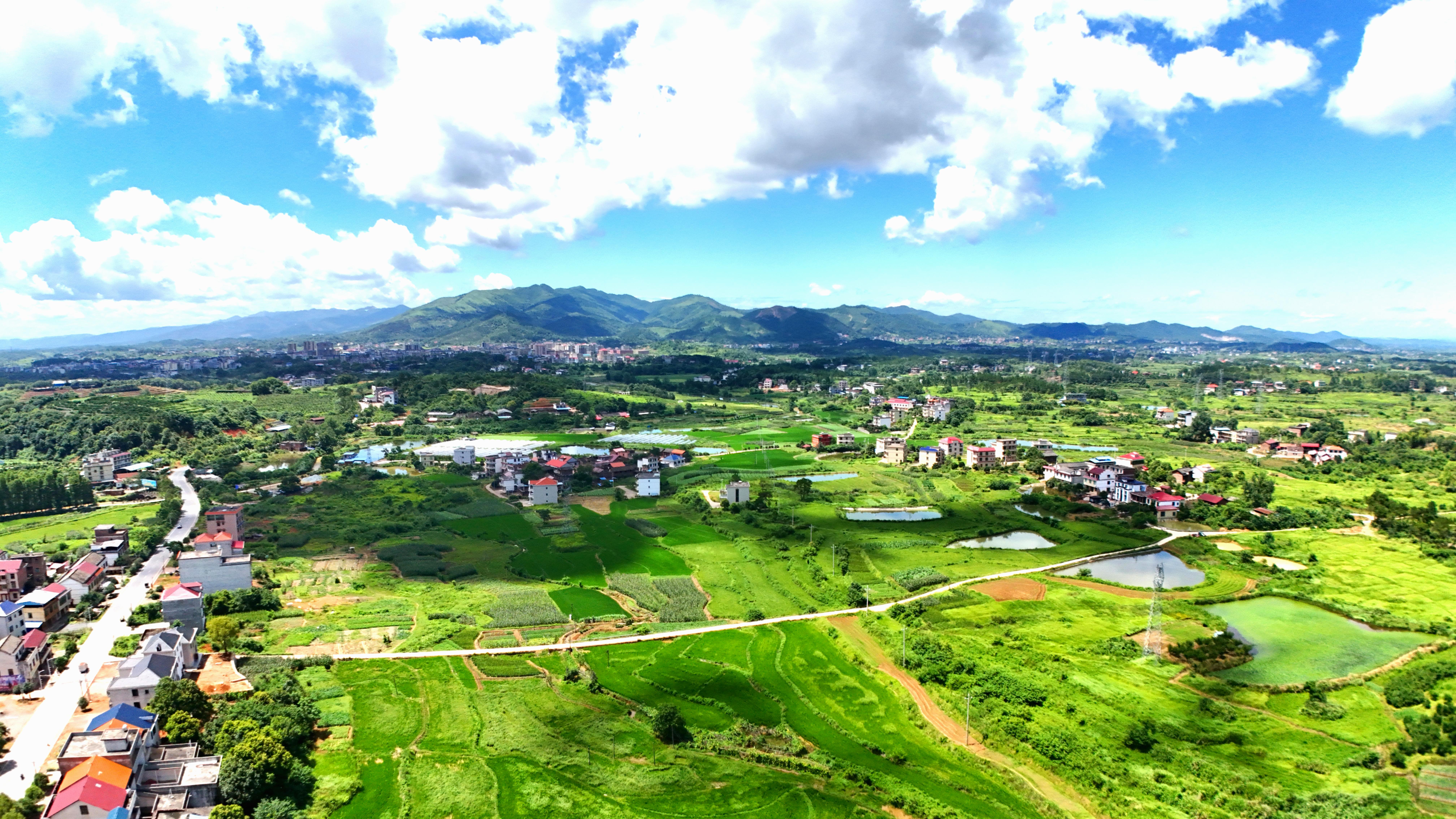 DJI_20250702110709_0460_D.JPG
