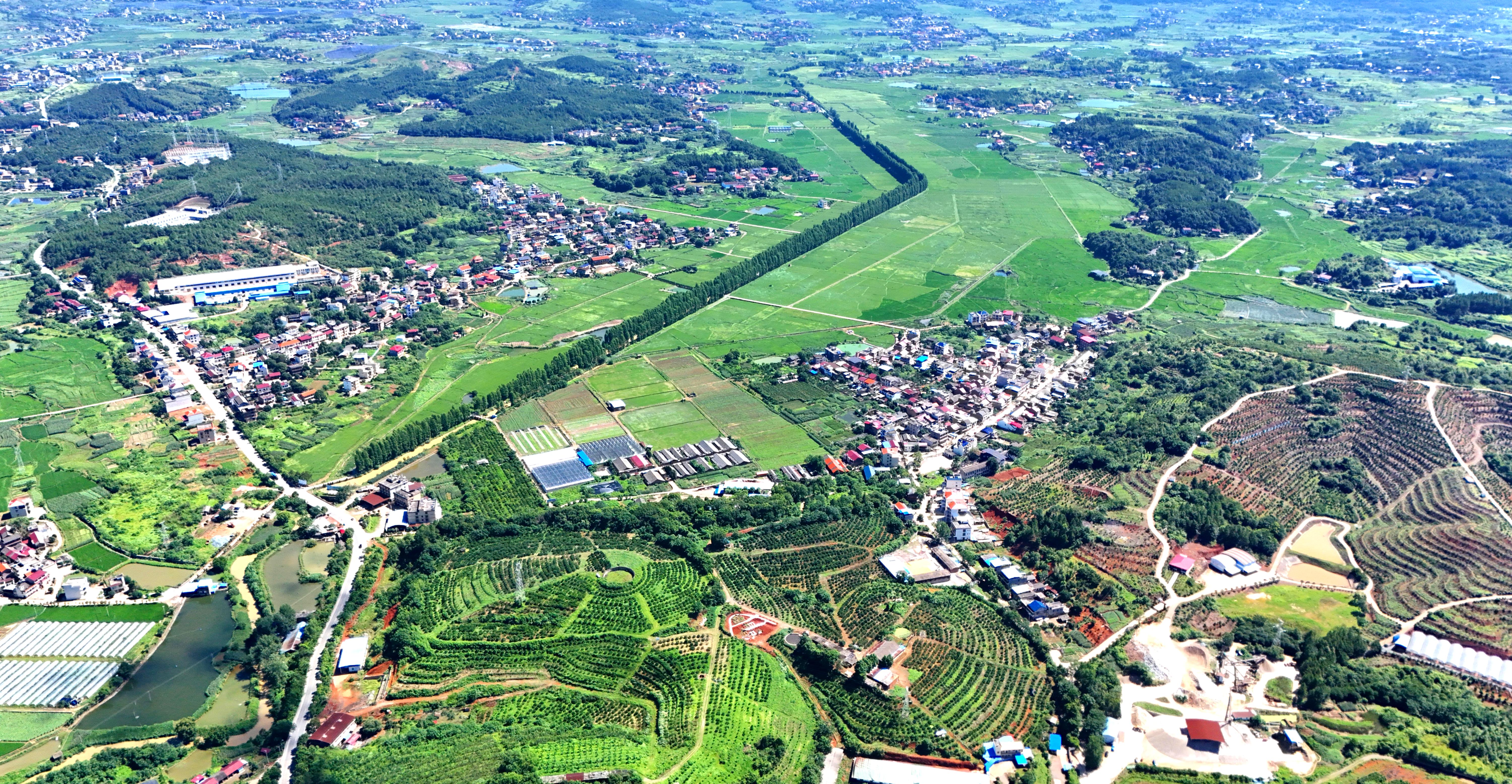 DJI_20250702100608_0424_D.JPG