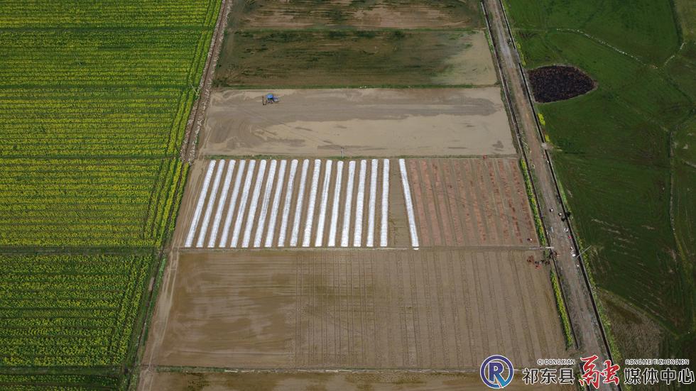 w_DJI_0894.JPG
