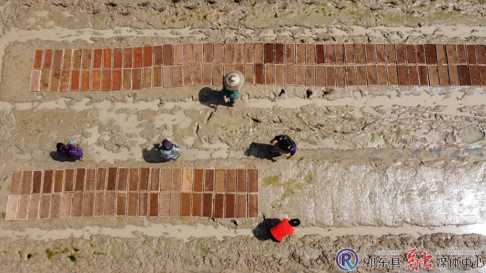 w_DJI_0918.JPG