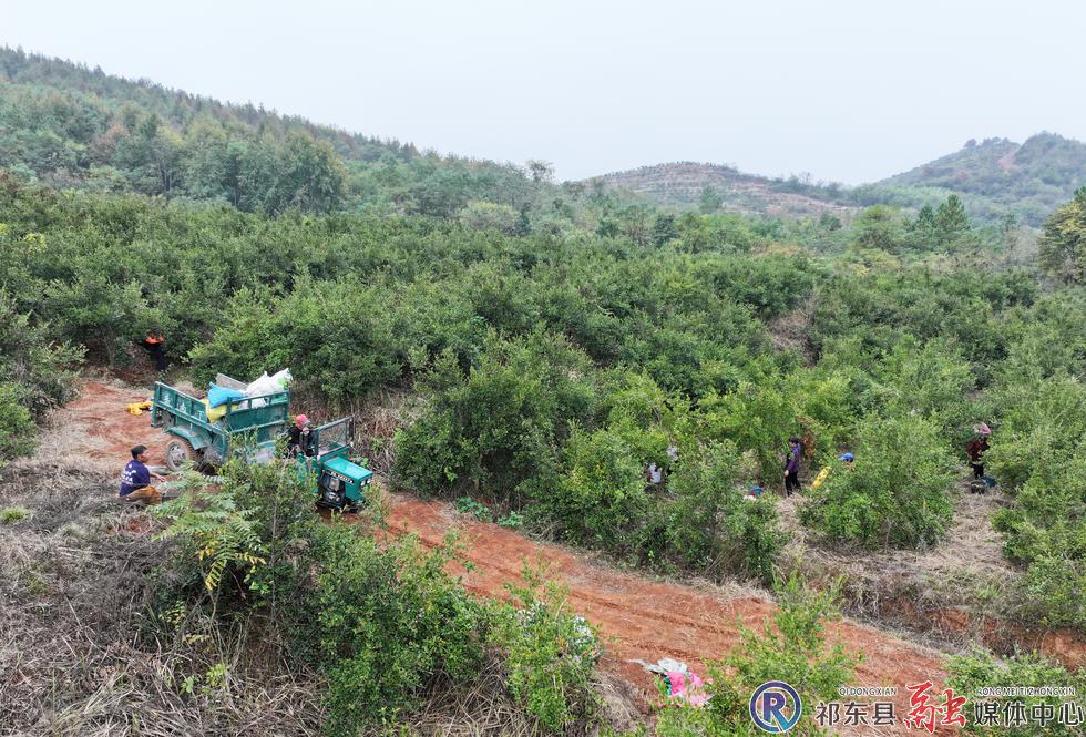 w_DJI_20251107142921_0601_D.jpg w_DJI_20251107142921_0601_D.jpg