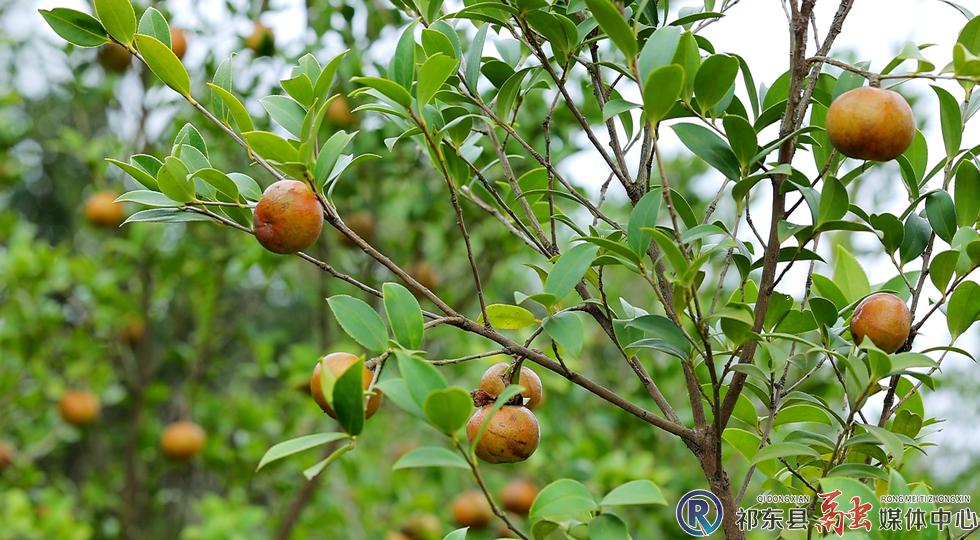 w_27fef1e51e2aa77f2d5e0aa6c4f15a8f.jpg w_27fef1e51e2aa77f2d5e0aa6c4f15a8f.jpg