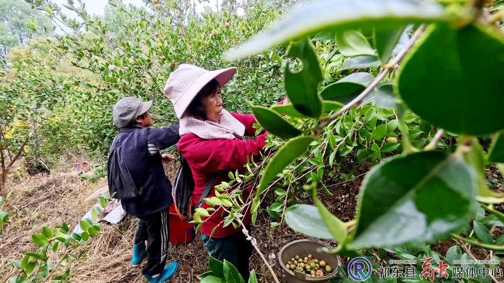 w_3cbfdeb1fb0628d089ee4299617fdb80.jpg w_3cbfdeb1fb0628d089ee4299617fdb80.jpg