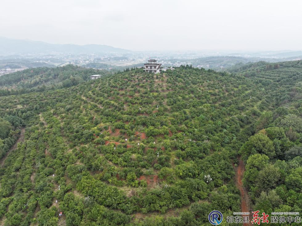 w_DJI_20251107145717_0626_D.jpg w_DJI_20251107145717_0626_D.jpg