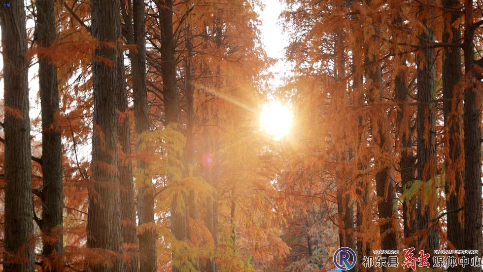 w_348387850411d026f2bcfdbdf69cd850.jpg w_348387850411d026f2bcfdbdf69cd850.jpg