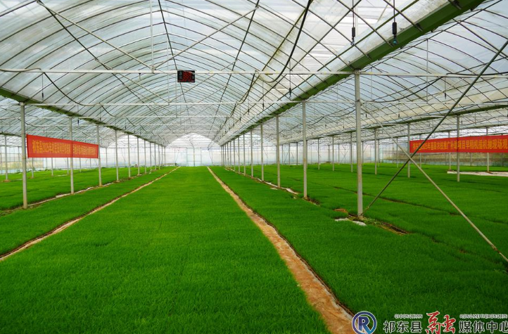 祁东县：科技赋能农业 机械助力丰产