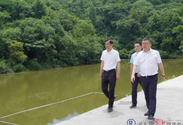 陈昌义调研水利项目建设