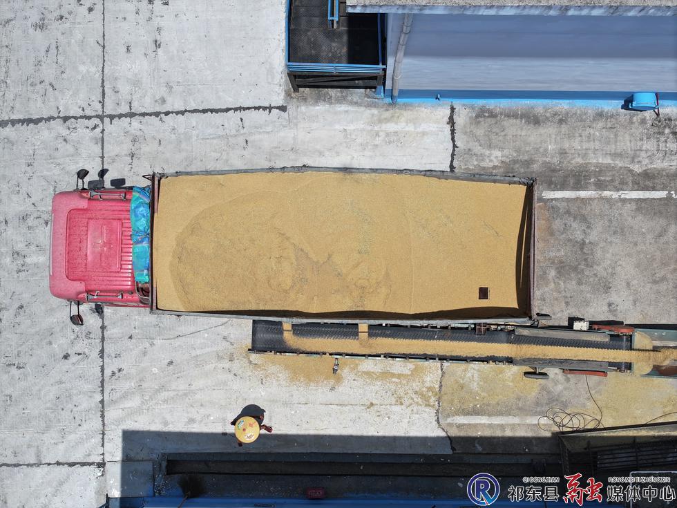 w_DJI_20250716123419_0024_D.JPG