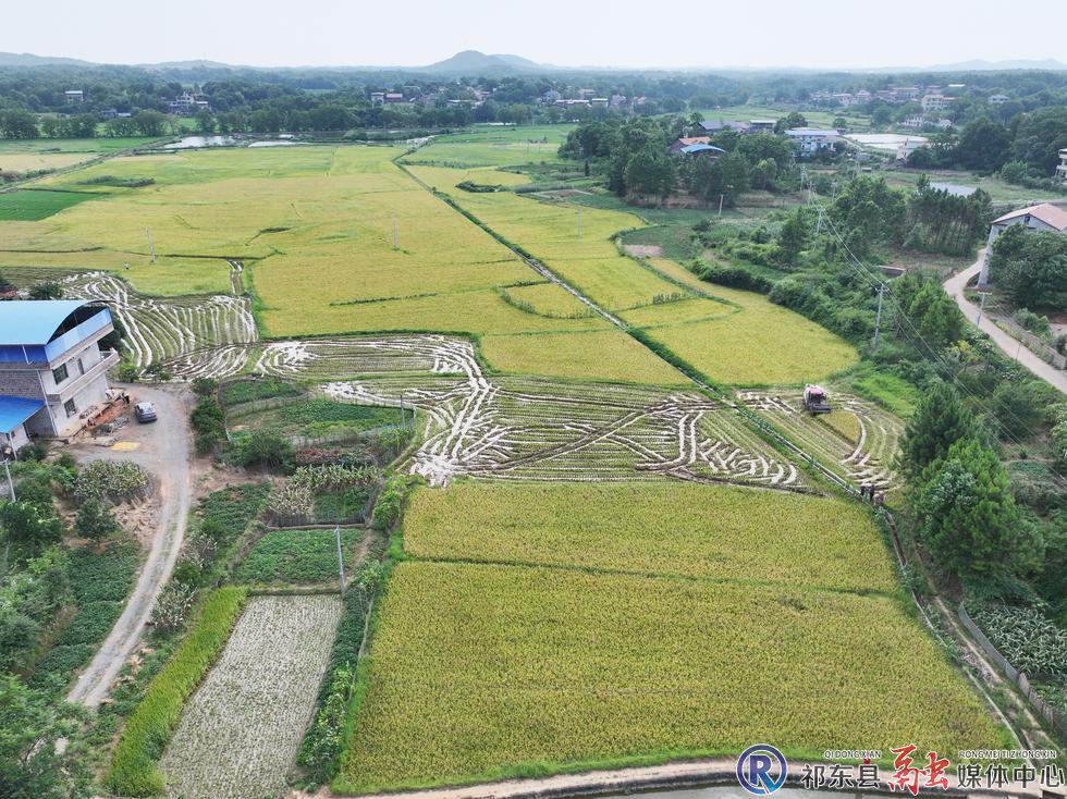 w_DJI_20250716094439_0001_D.jpg