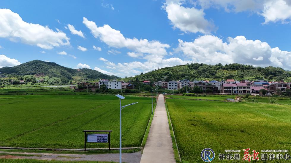 w_DJI_20250702114205_0484_D.JPG
