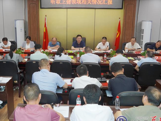 雷华专题听取卫健领域情况汇报