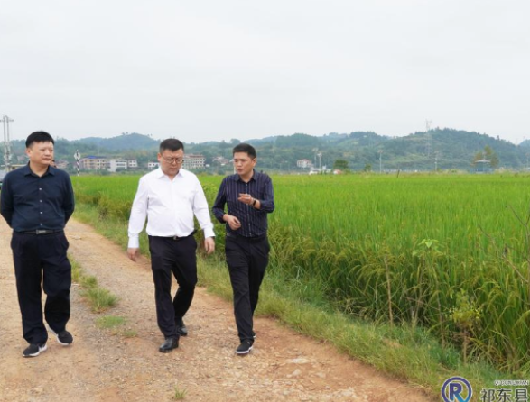 县领导督导安全生产并巡河、巡田、巡林