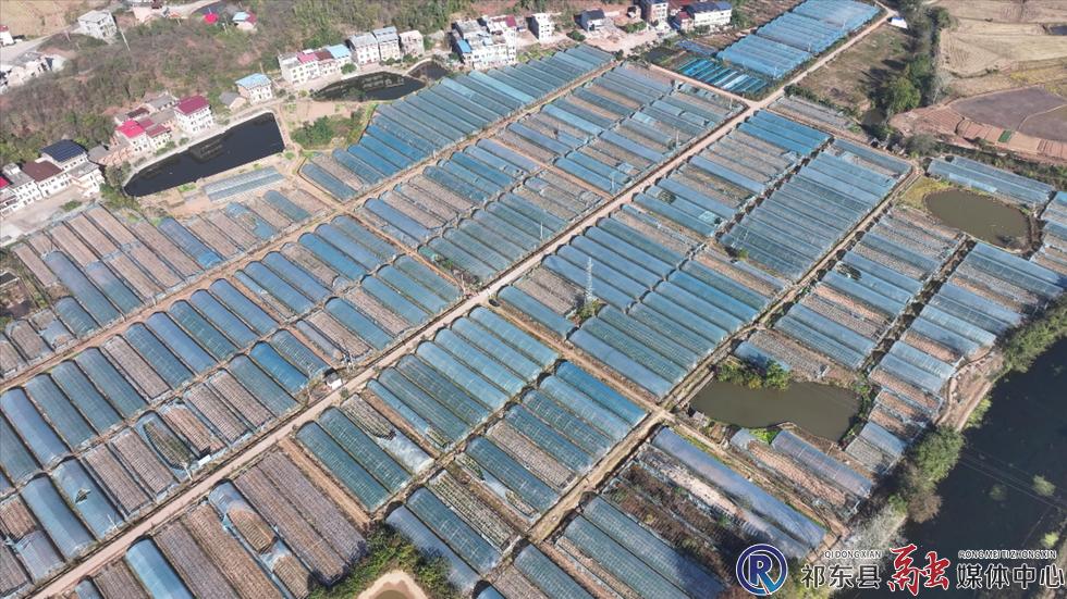 w_DJI_20251126094840_0068_D.MP4_20251126_114643975.jpg w_DJI_20251126094840_0068_D.MP4_20251126_114643975.jpg