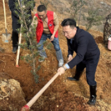 我县开展集中义务植树活动 雷华参加