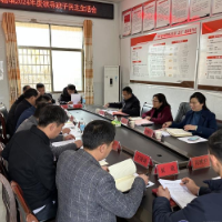 江莉指导砖塘镇民主生活会