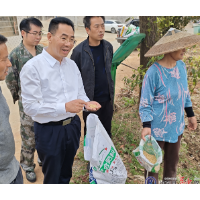 刘卫华赴凤歧坪乡开展巡林巡田工作