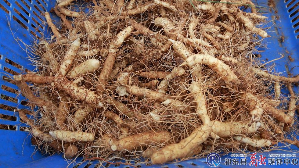 w_微信图片_20250929160131_9_2.jpg w_微信图片_20250929160131_9_2.jpg