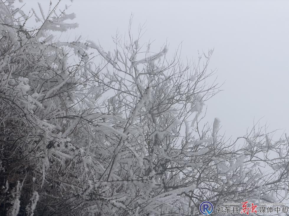 w_db4119b84c2eb23c1e09262344c02bb.jpg w_db4119b84c2eb23c1e09262344c02bb.jpg