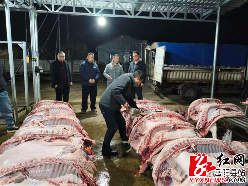 QQ图片20260213171704.png QQ图片20260213171704.png