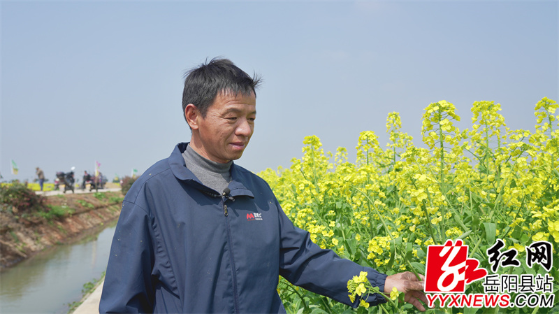 中洲乡油菜种植大户 彭建明.jpg