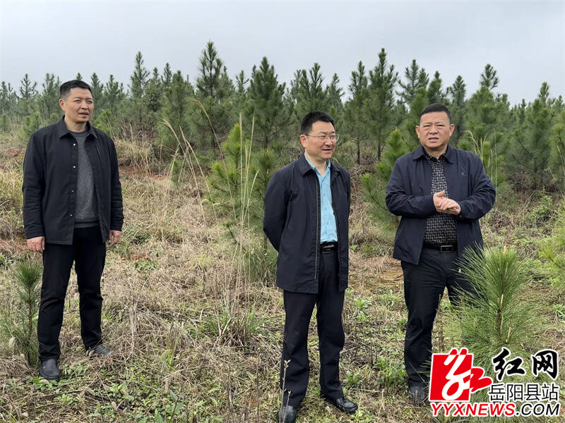 MZYOQ2Z})M36J`J(J8RP2D4_tmb.jpg MZYOQ2Z})M36J`J(J8RP2D4_tmb.jpg