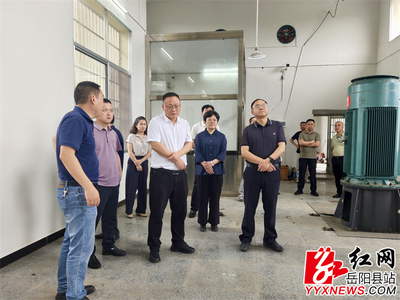 方克君一行在六合垸察看排涝泵站运行情况.jpg 方克君一行在六合垸察看排涝泵站运行情况.jpg