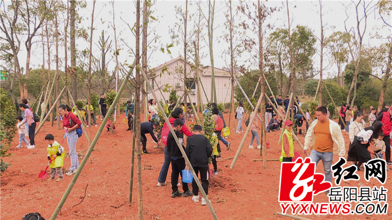 植树现场 (1).JPG