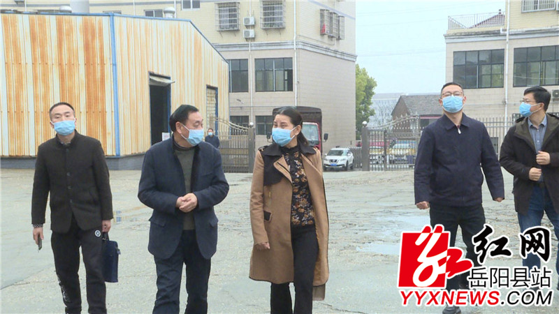 彭荣欣查看企业生产现状.jpg