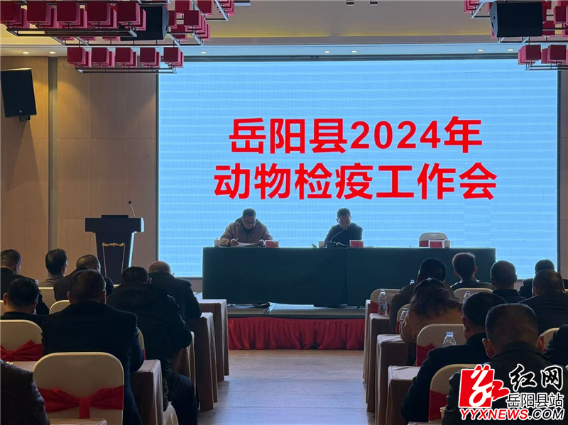 QQ图片20241209152124.png