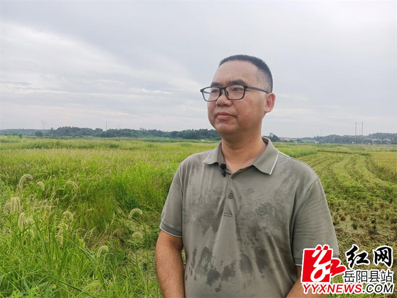 岳阳县农业农村局种植业股股长米敦文.jpg