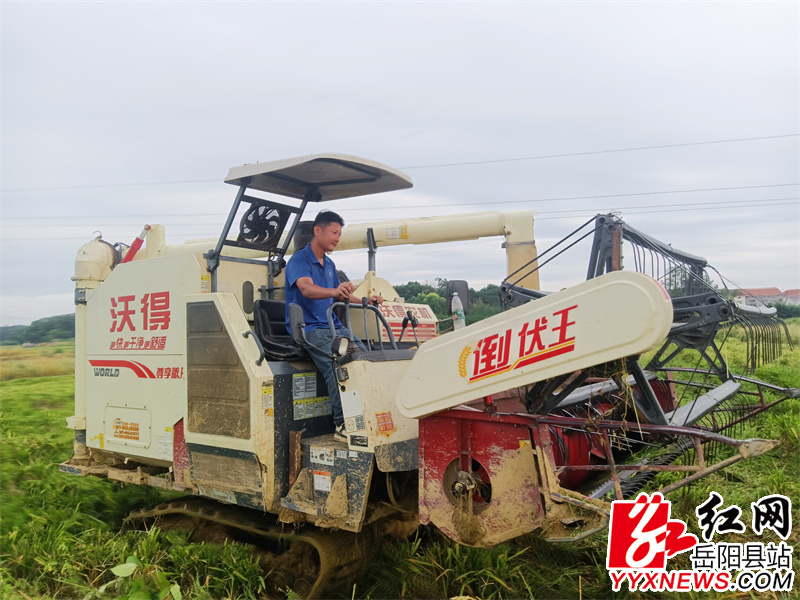 筻口镇种植户余煜华正在操作收割机收割早稻.jpg