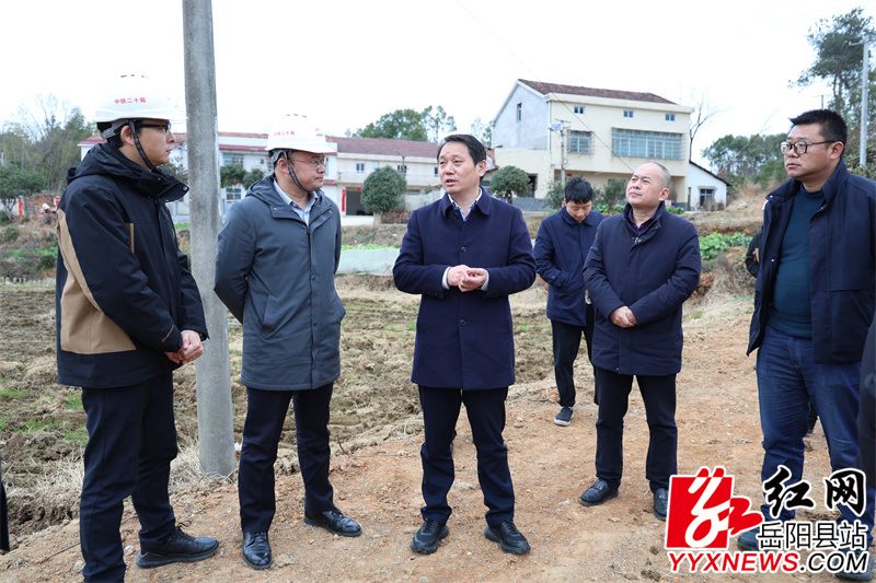 长湖乡自强村高标准农田建设现场.JPG