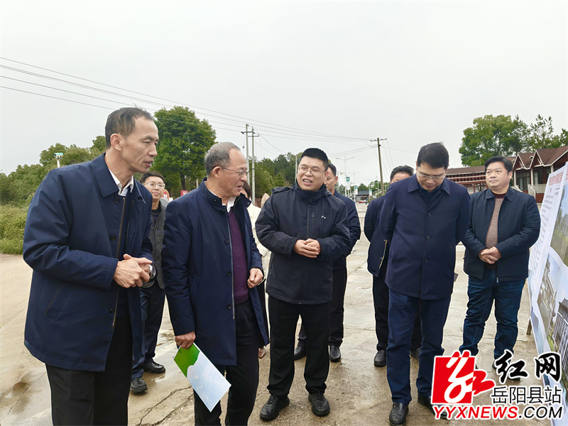 调研组一行在杨林街镇岳阳王鸽产业园调研省级巩固拓脱贫攻坚成果项目申报情况.jpg