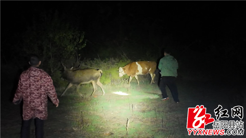 2c0e726fe5fac35f6790e37956dd2592.jpg 2c0e726fe5fac35f6790e37956dd2592.jpg