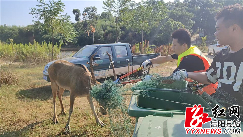 9996b964f9d67f0ee03d75809e8959ab.jpg 9996b964f9d67f0ee03d75809e8959ab.jpg