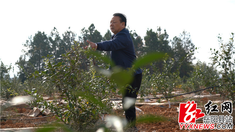 62df8ceca2f5c01ae113e5217cc18cde.jpg 62df8ceca2f5c01ae113e5217cc18cde.jpg