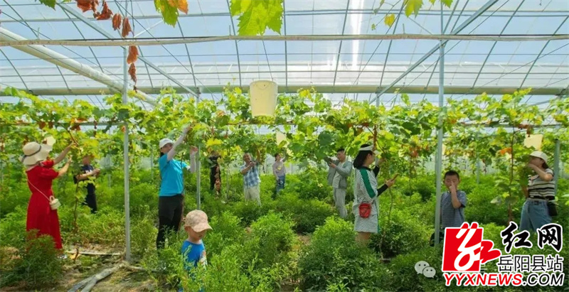 cb5245ce40562953a7b9bde7593f351c.jpg cb5245ce40562953a7b9bde7593f351c.jpg