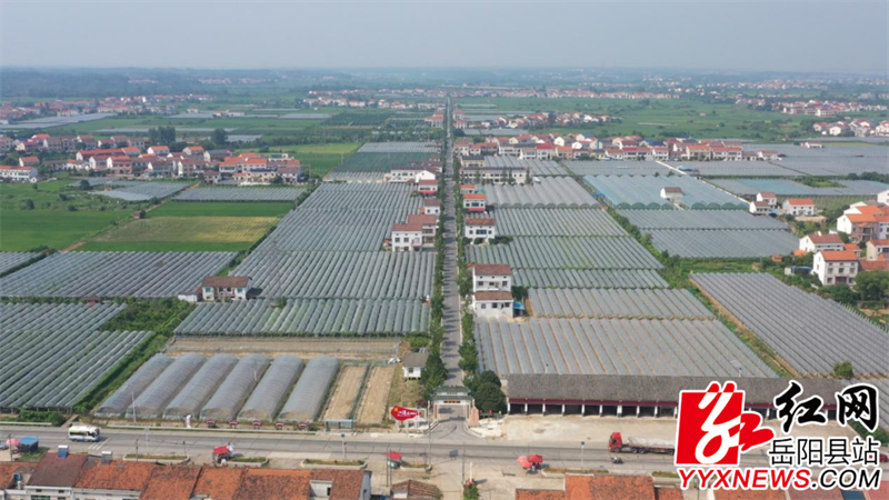 11529c7f62a1cad9bbb86a4cdc8f3b3c.png 11529c7f62a1cad9bbb86a4cdc8f3b3c.png